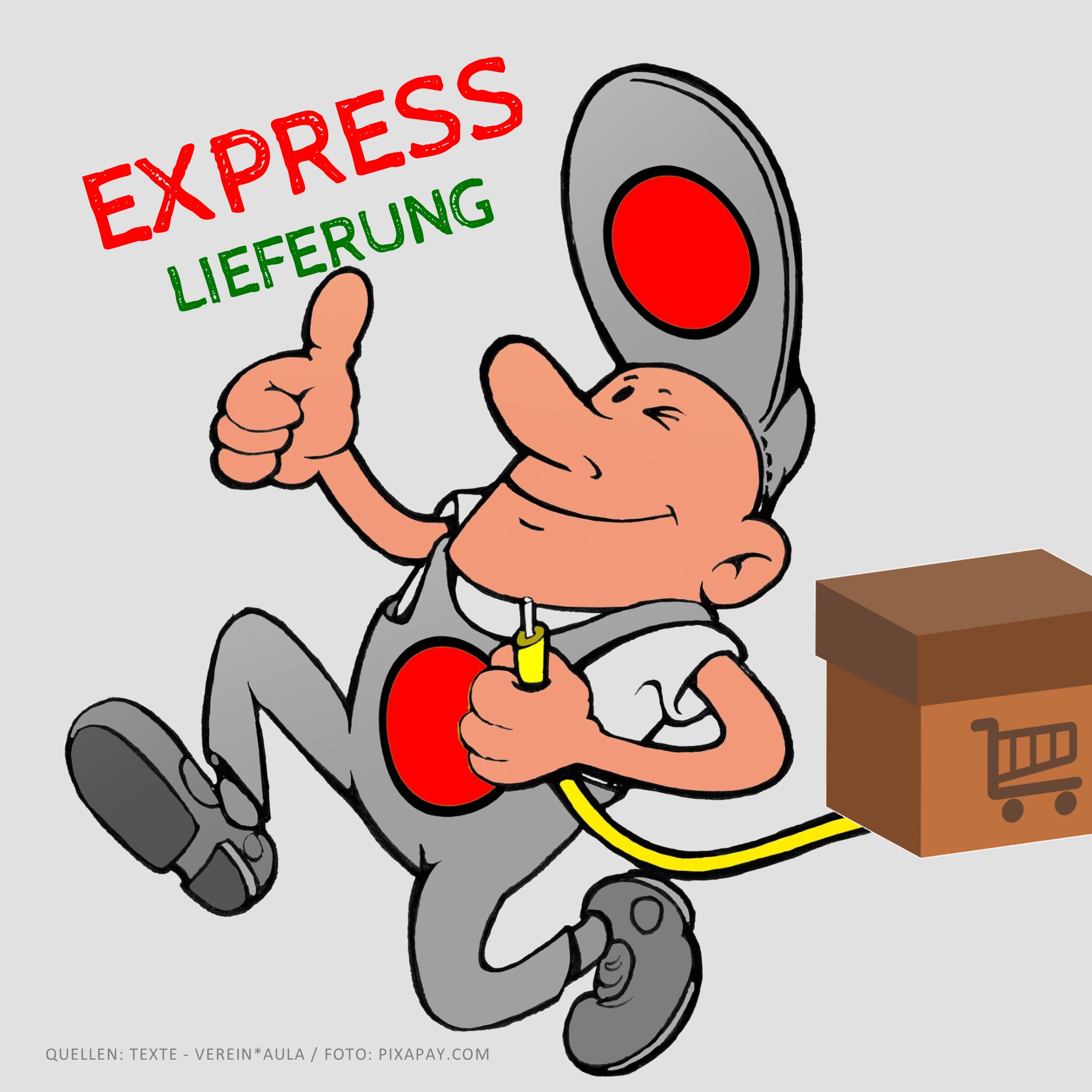 EXPRESS Lieferung